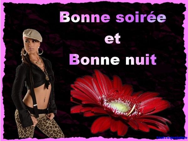 bonne soiree et bonne nuit